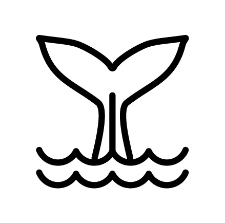 whale-fin